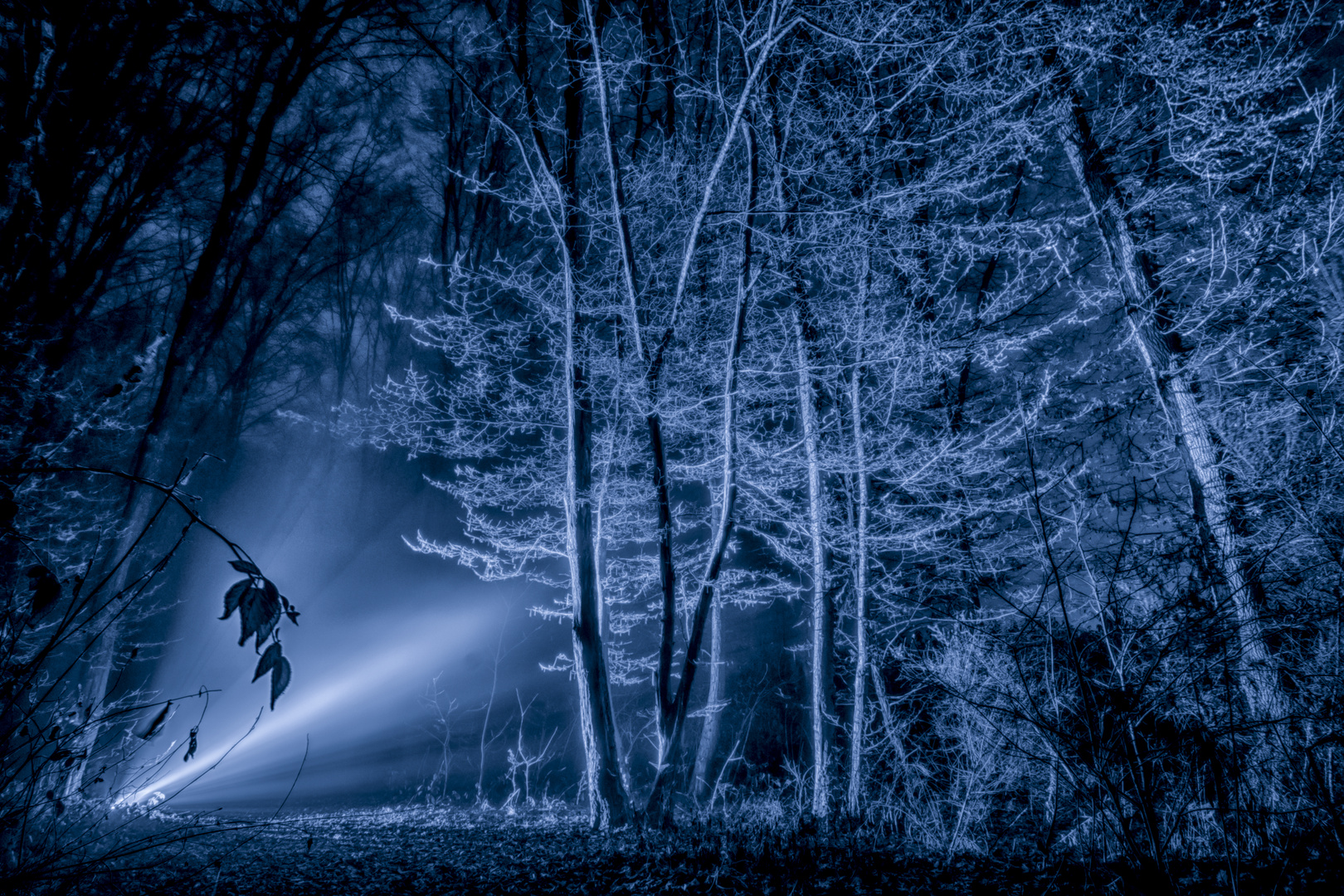 Freezing Foto & Bild landscape, wald, nacht Bilder auf