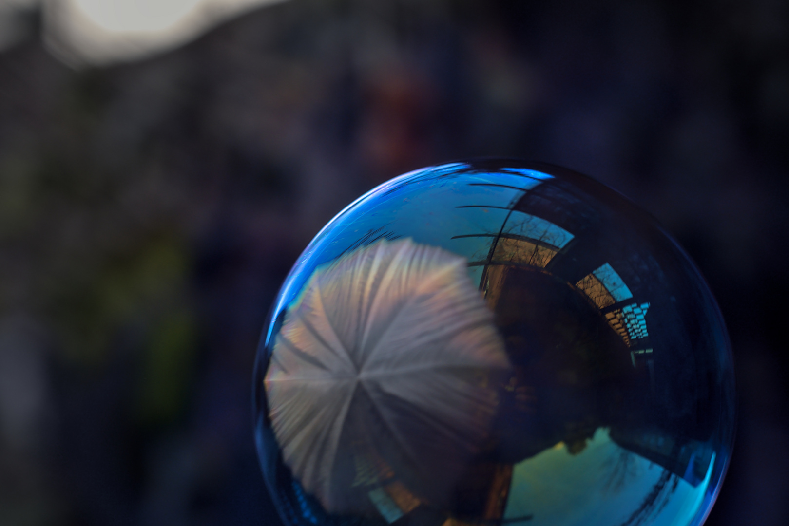 Freezing Bubble