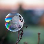 Freezing Bubble