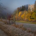 Freezing fog