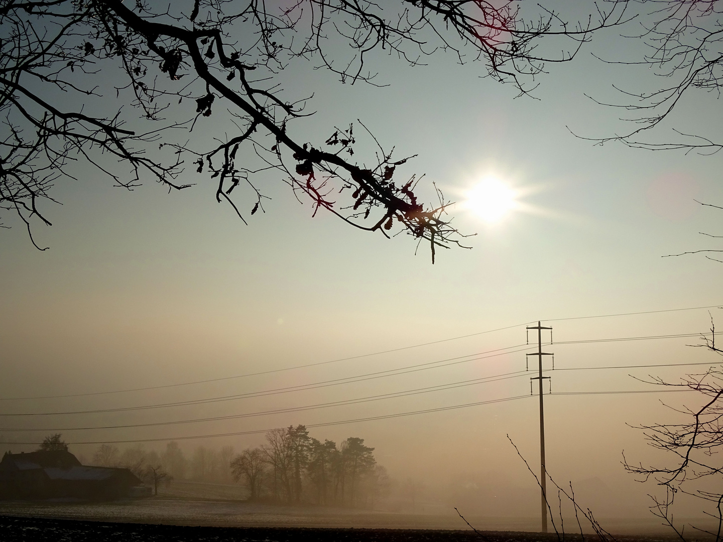 Freezing Fog