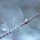 freezing of soap bubbles