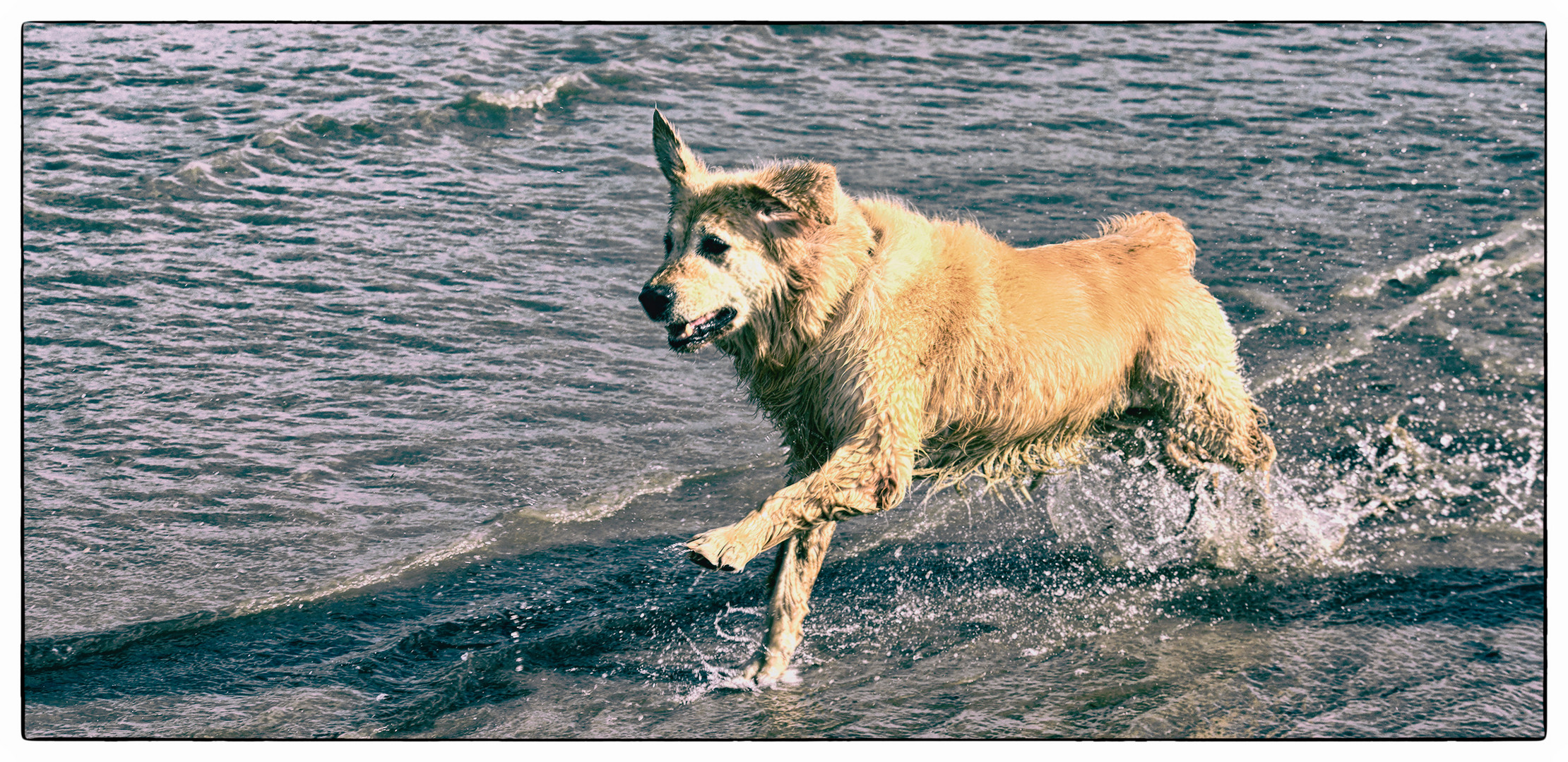 frei Foto & Bild landschaft, meer & strand, naturereignisse Bilder