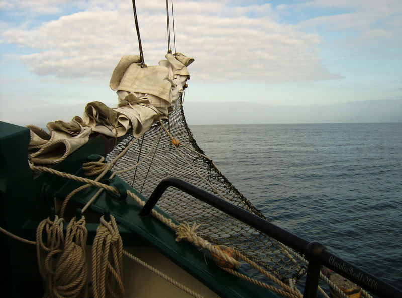 Frei auf der Ostsee