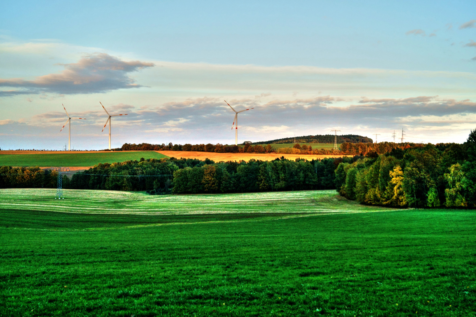 Frei im Grünen