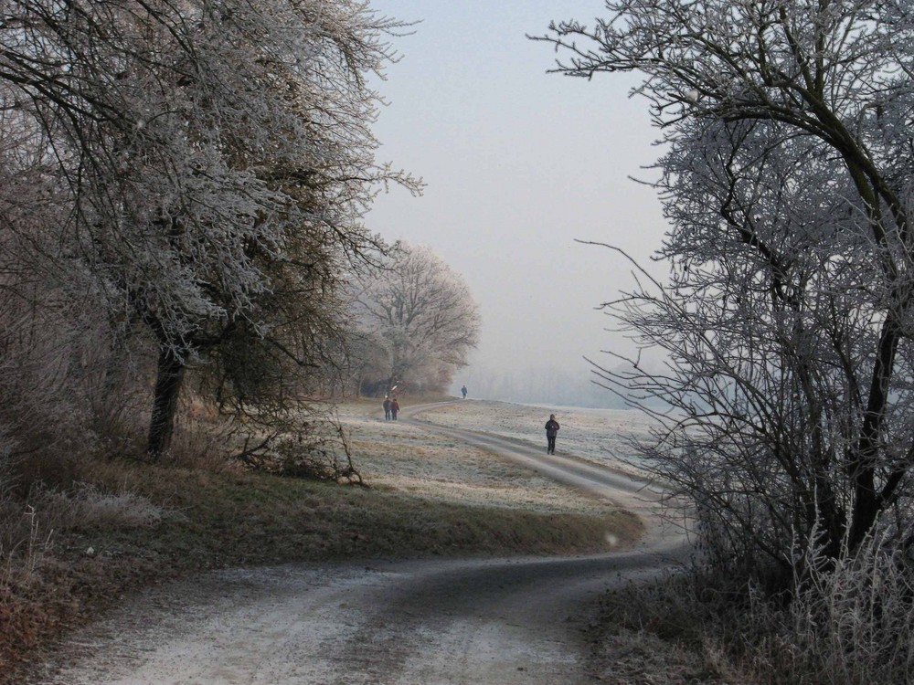 frei nach caspar david friedrich