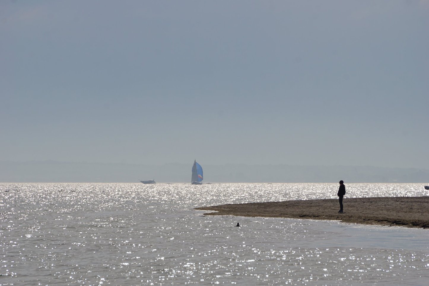 Frei nach Caspar David Friedrich _Wieder ein Mönch am Meer!_1