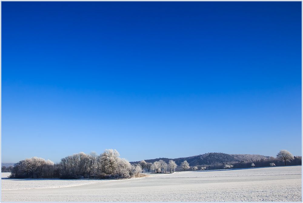 Frei sein... - im Freien sein... 