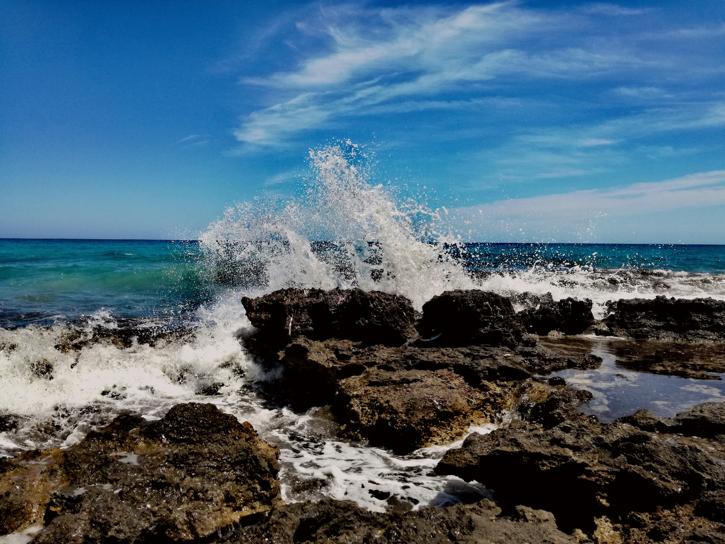 Frei wie das Meer