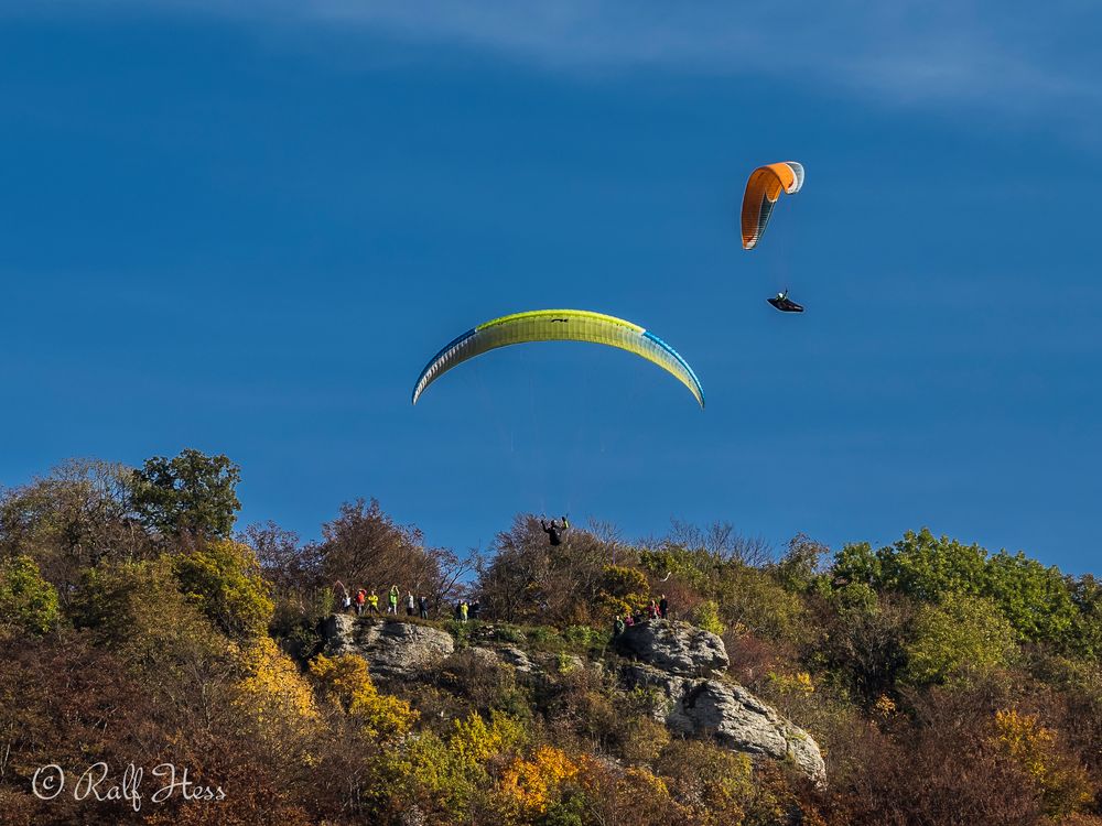 Frei wie der Wind