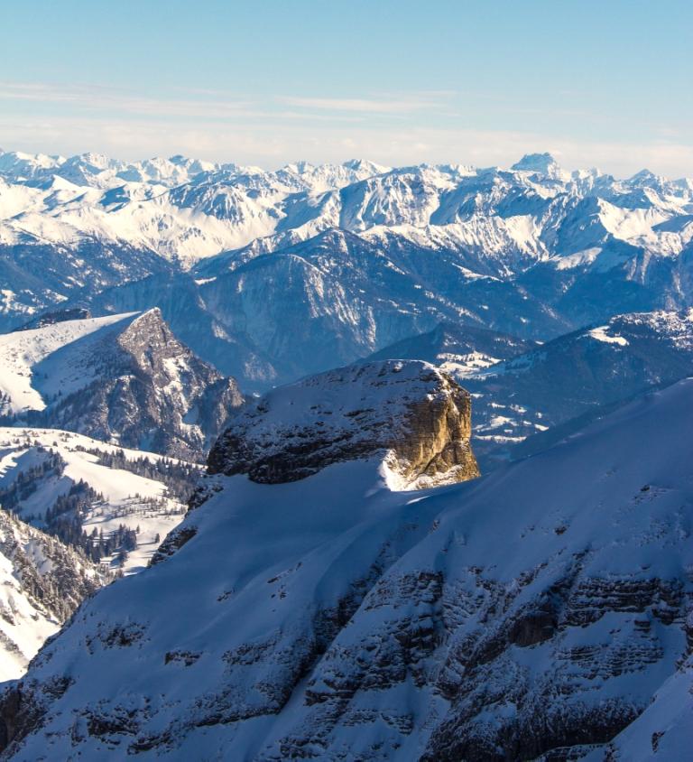 Frei wie ein (Eis-)Vogel