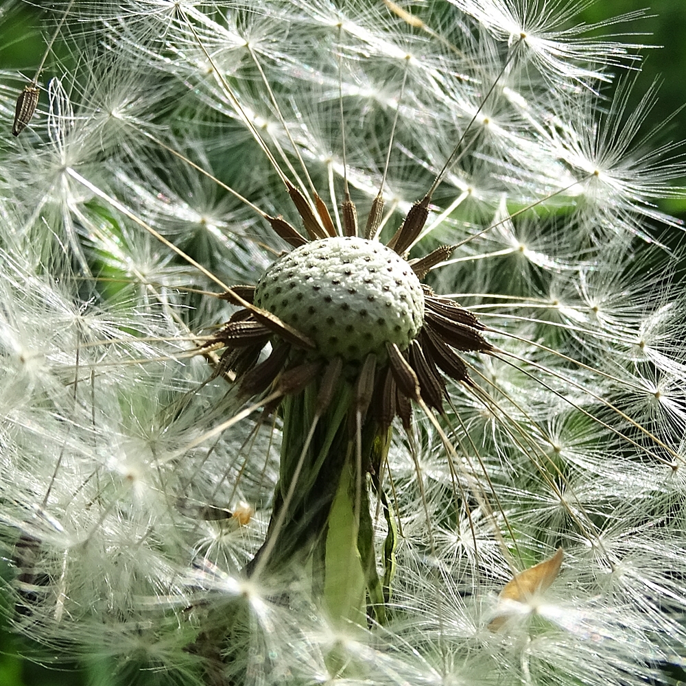 Frei zum Abflug