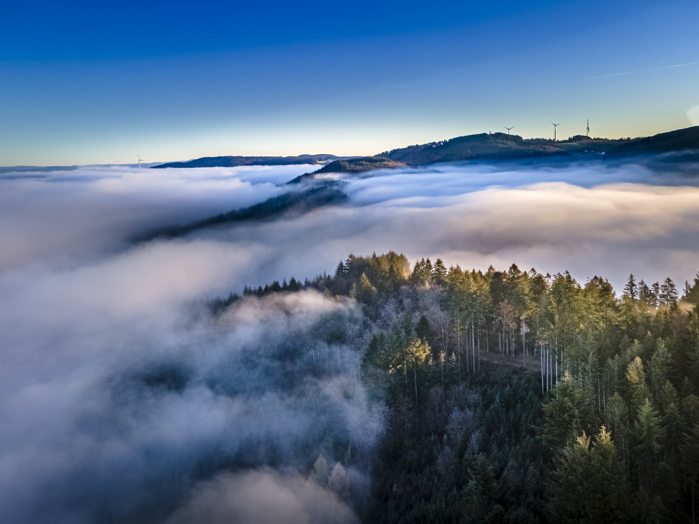 Freiamt Nebel im Schwarzwald 2020