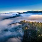 Freiamt Nebel im Schwarzwald 2020