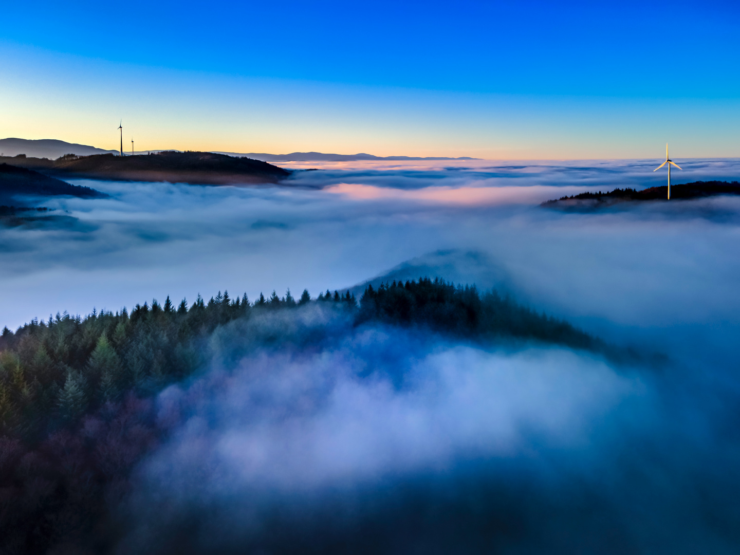 Freiamt Nebelstimmung im Wald 