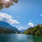 Freibach Stausee 