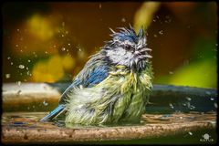 Freibad …