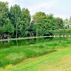 Freibad auf dem Lande...