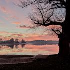 Freibad Auslikon am Pfäffikersee