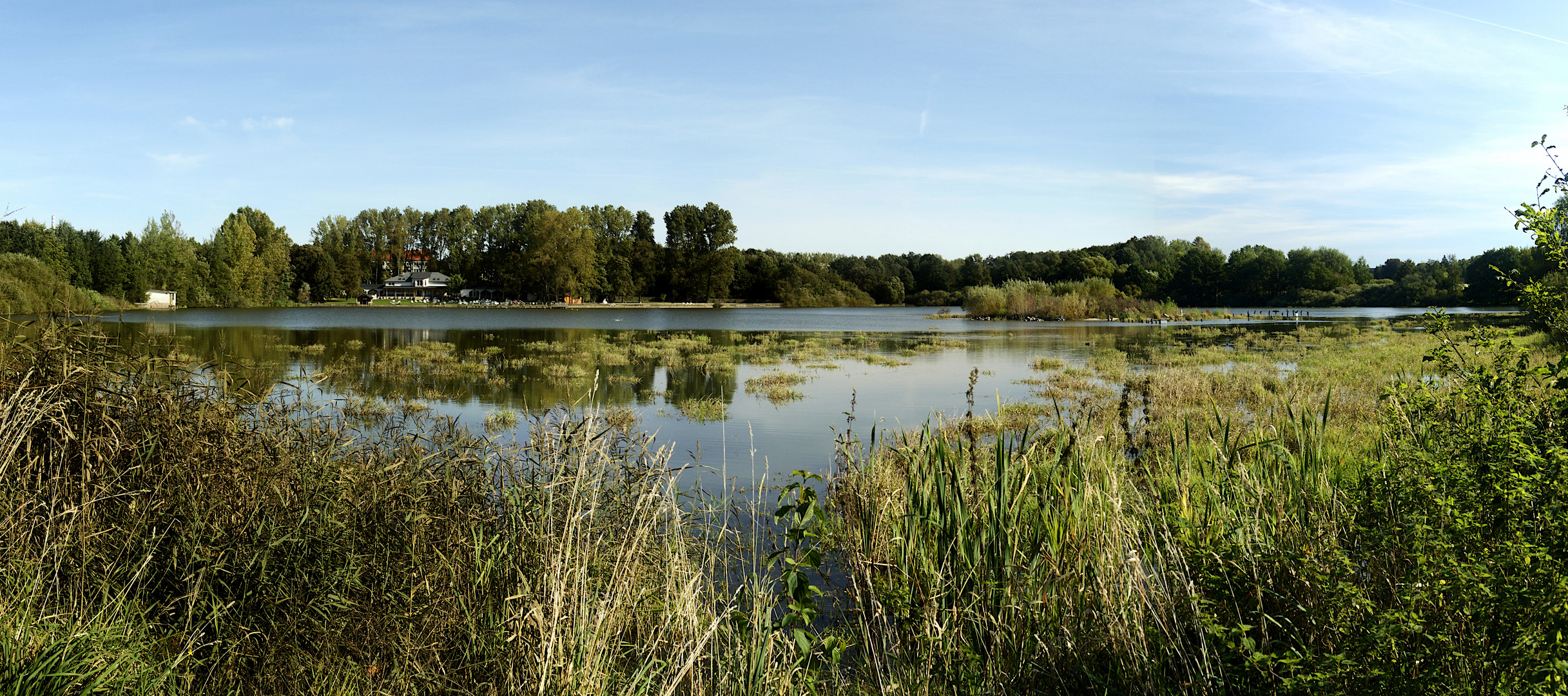 Freibad "Großer Teich"