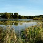 Freibad "Großer Teich"