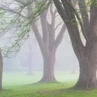 Freibad im Nebel