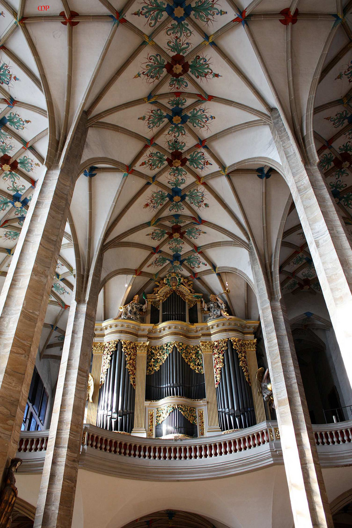 Freiberger Dom(8) - Blick auf die Silbermann - Orgel