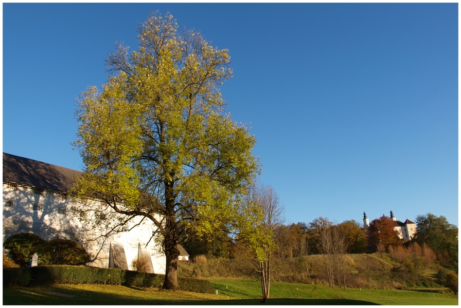 Freiberger Herbst