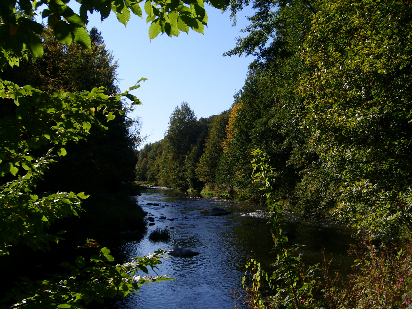 Freiberger Mulde bei Obergruna