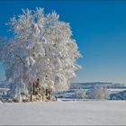 Freiberger Winterparadies
