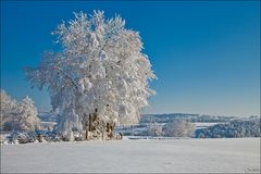 Freiberger Winterparadies