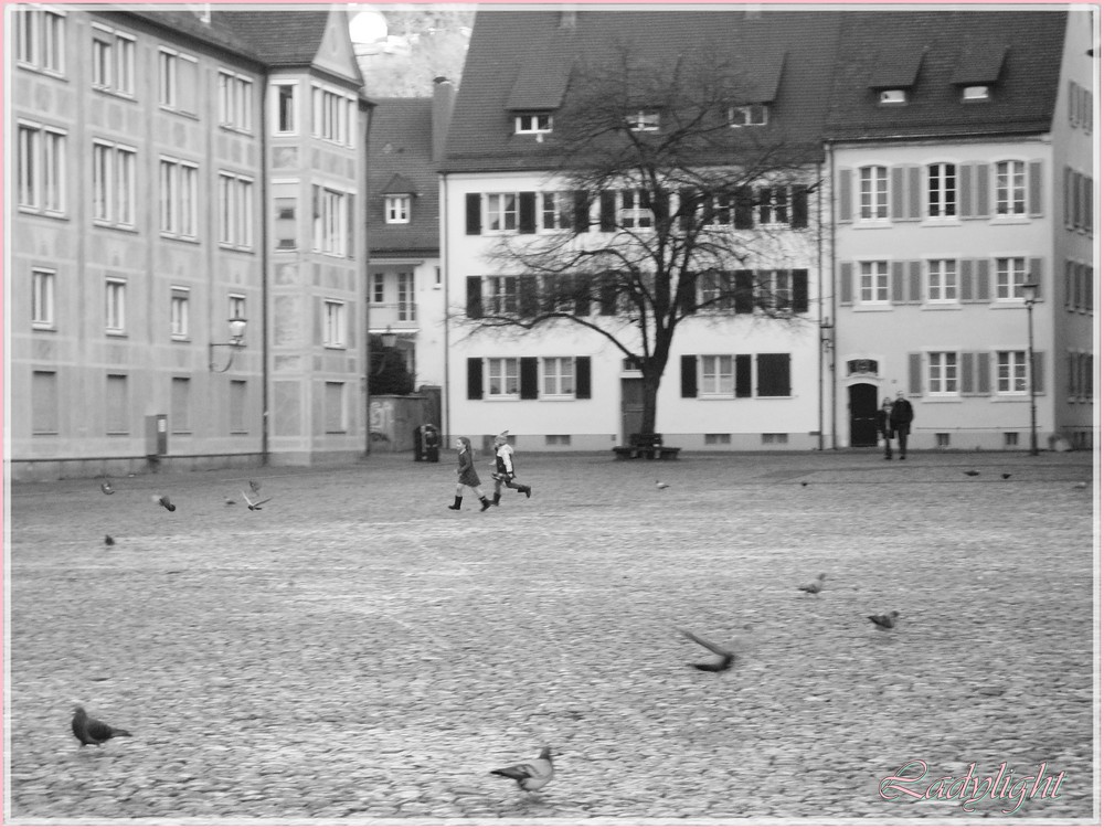 Freiburg am Marktplatz