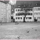 Freiburg am Marktplatz