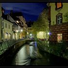 Freiburg at Night  -  City Crocodile