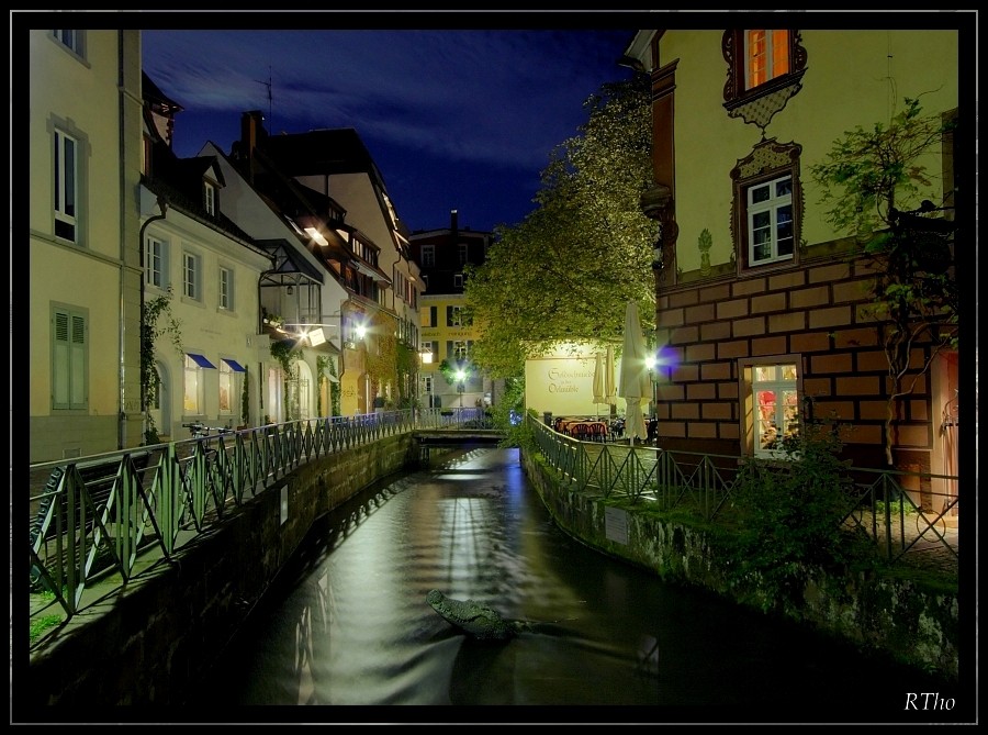 Freiburg at Night  -  City Crocodile