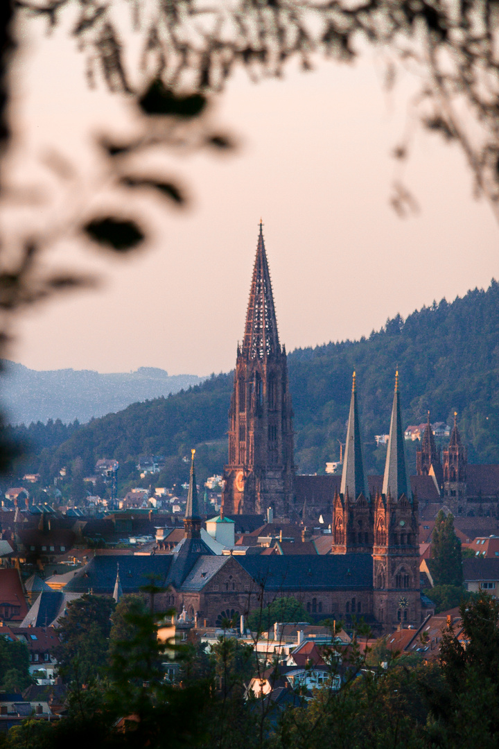 Freiburg, du Perle im Schwarzwald