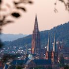 Freiburg, du Perle im Schwarzwald
