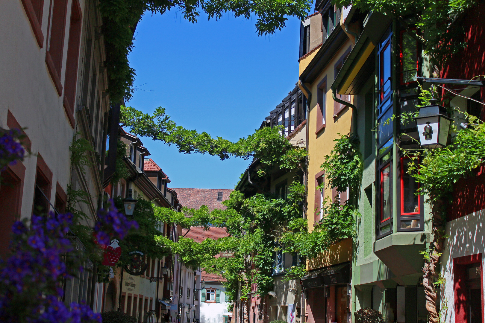 Freiburg, hier lässt es sich aushalten!