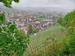 Freiburg im Breisgau (1)