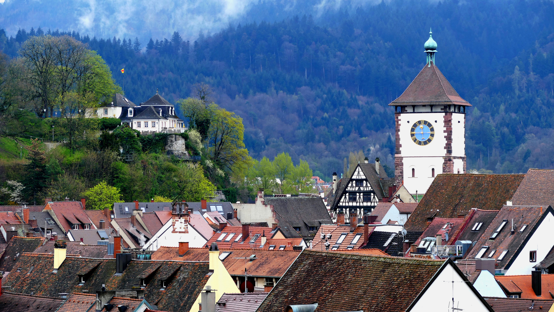  Freiburg im Breisgau