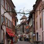 Freiburg im Breisgau