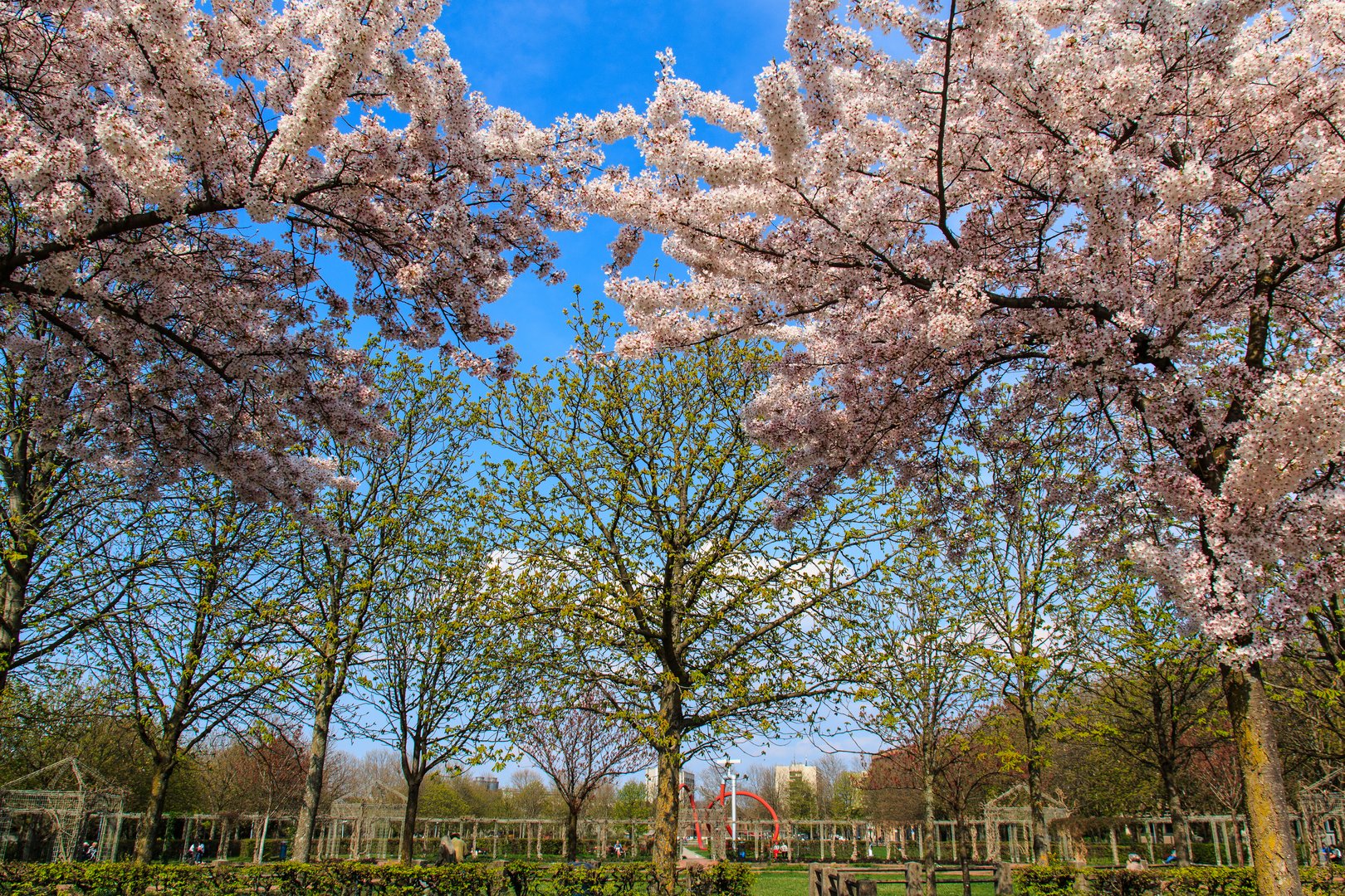 Freiburg im Frühling - Eschholzpark