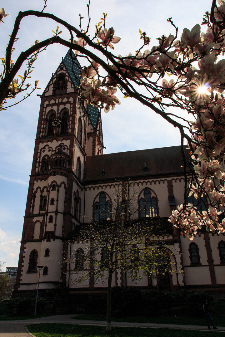 Freiburg im Frühling - Herz-Jesu-Kirche