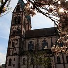 Freiburg im Frühling - Herz-Jesu-Kirche