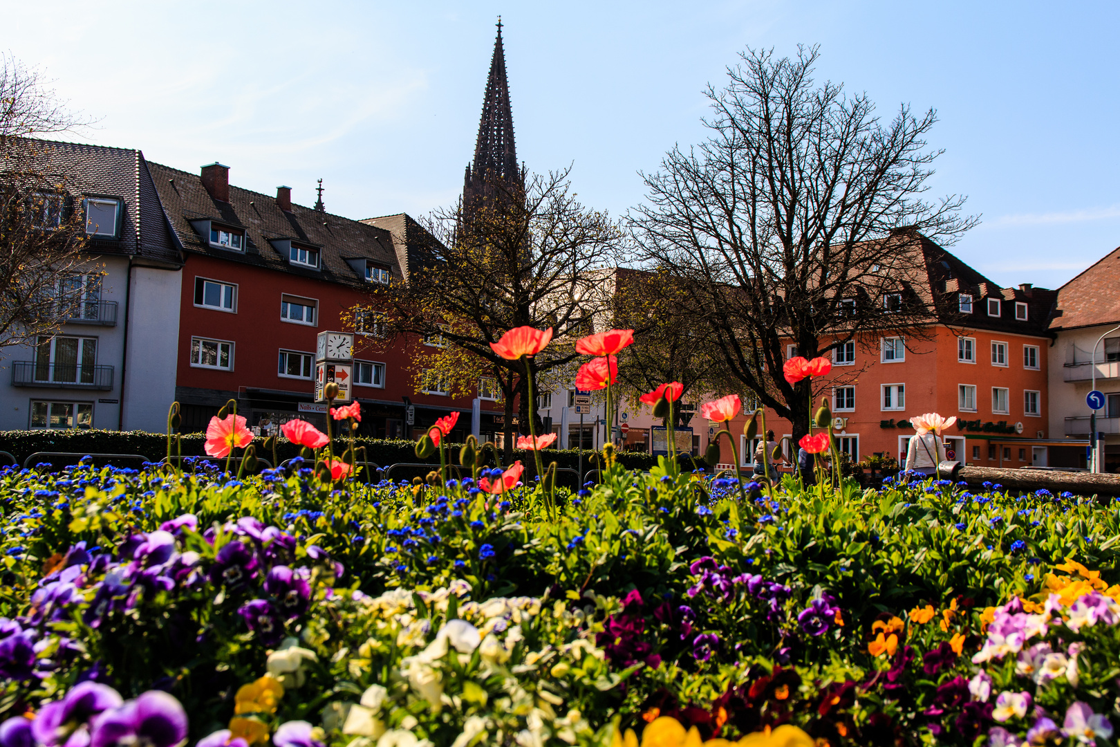 Freiburg im Frühling - Karlsplatz