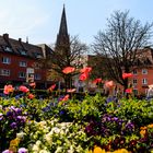 Freiburg im Frühling - Karlsplatz