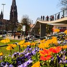 Freiburg im Frühling - Stadtgarten