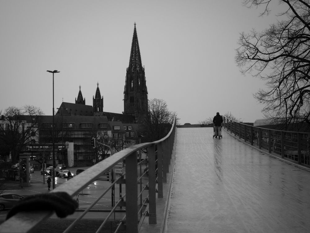 Freiburg im Regen - grau