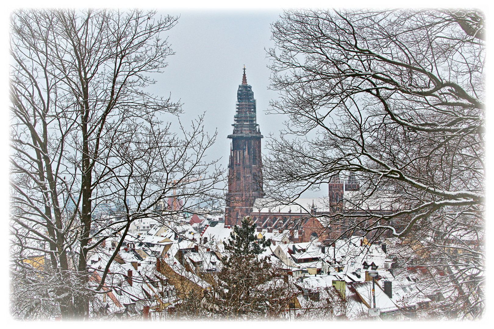 Freiburg im Winter I