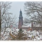 Freiburg im Winter I